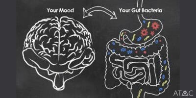 The Microbiome and Mental Health