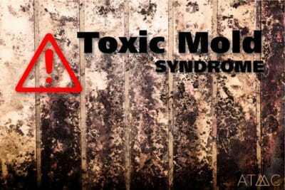 toxic mold syndrome benzo withdrawal