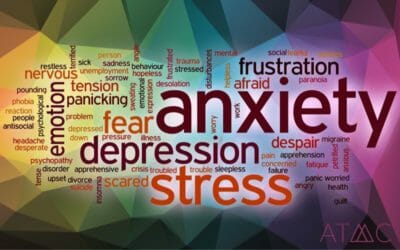 anxiety increased by toxins heavy metals
