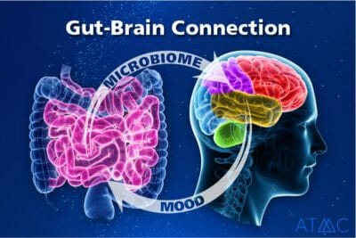 mood microbiome connection