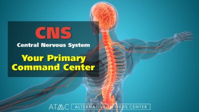 concerta's effects on central nervous system