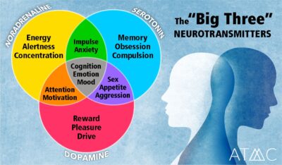 bupropion affects dopamine levels