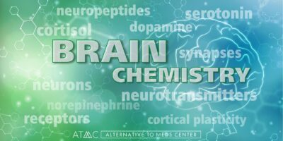 proper organic nutrition helps brain think better