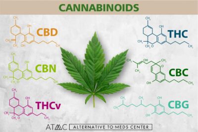 cannabinoids in marijuana
