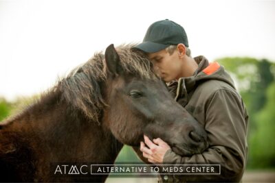 equine-assisted therapy in addiction recovery