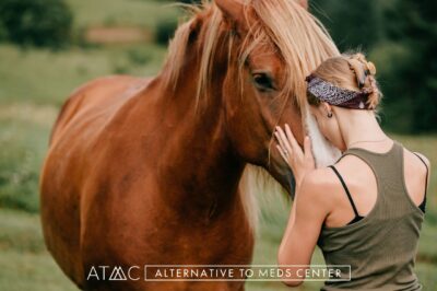 equine therapy sedona drug rehab