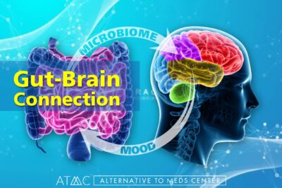 gut-brain connection