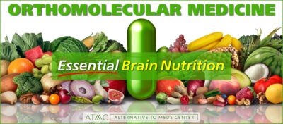 essential nutrition for the brain