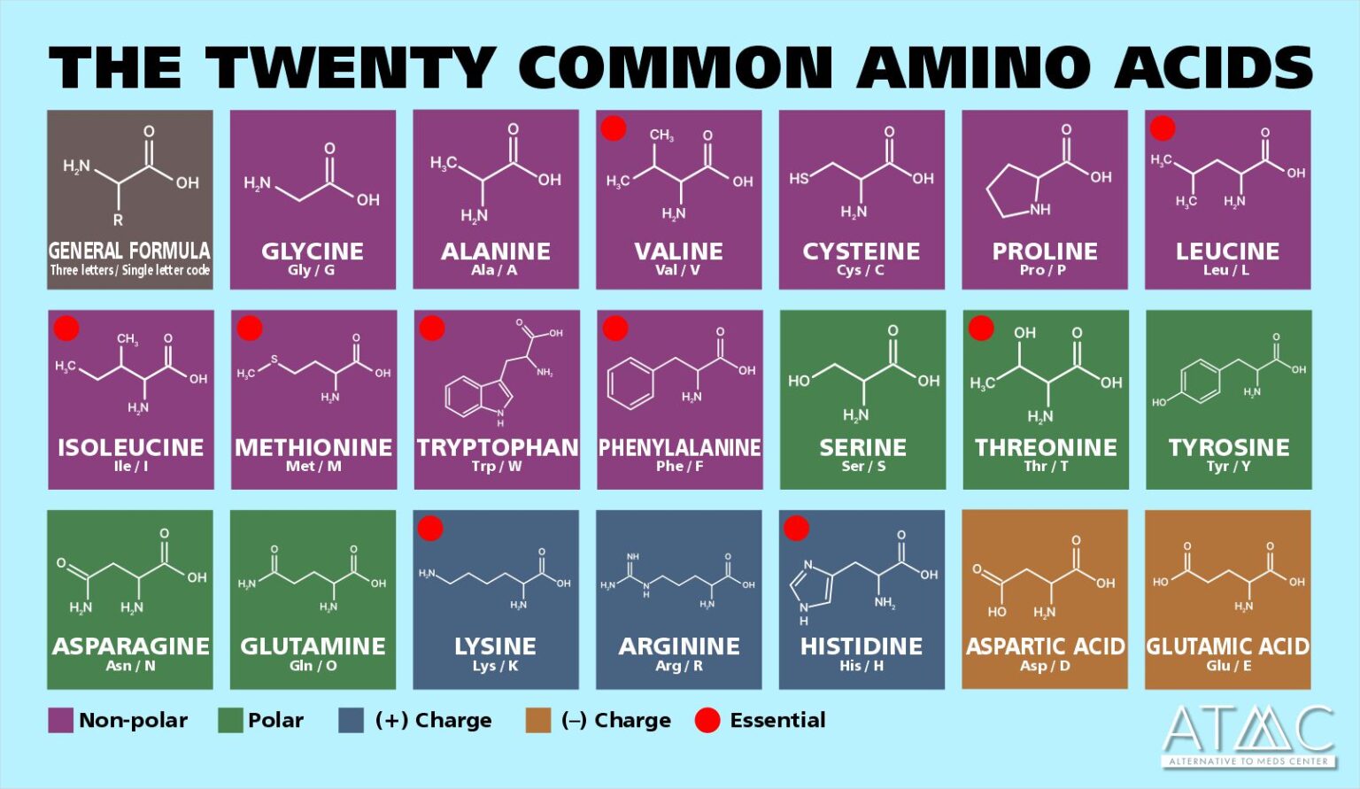 Amino Acid Therapy | Nourish Your Mental Health