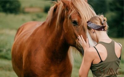 equine therapy at ATMC