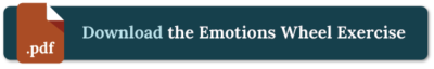 emotions wheel exercise