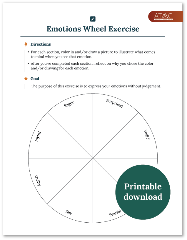 emotions wheel exercise