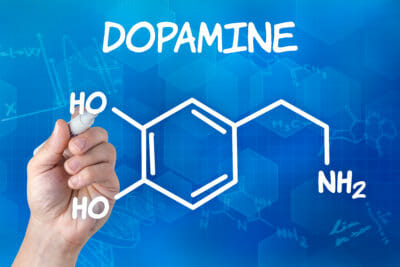 modafinil alters dopamine 