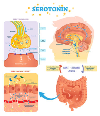 Serototin 