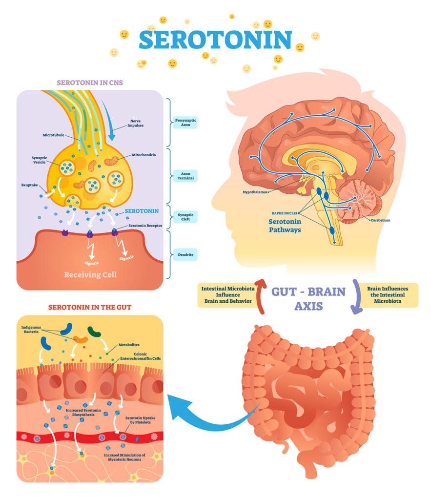 Serototin