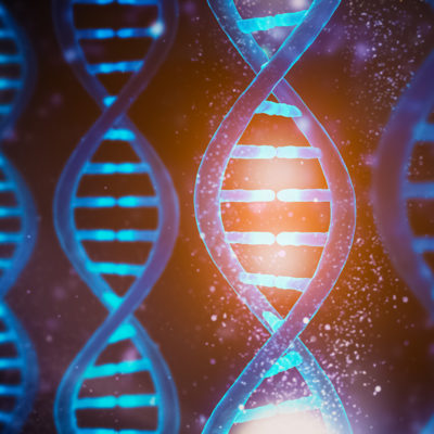 Genetics
