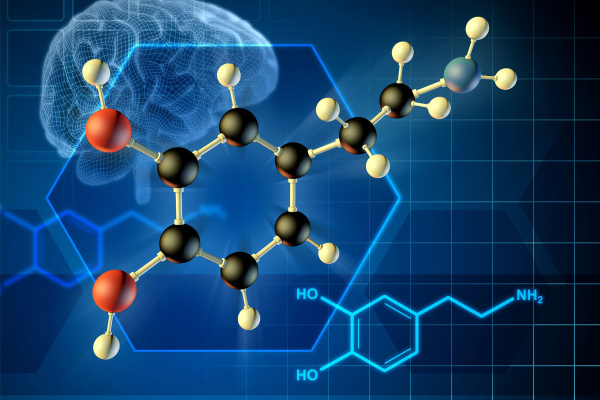 introduction of dopamine