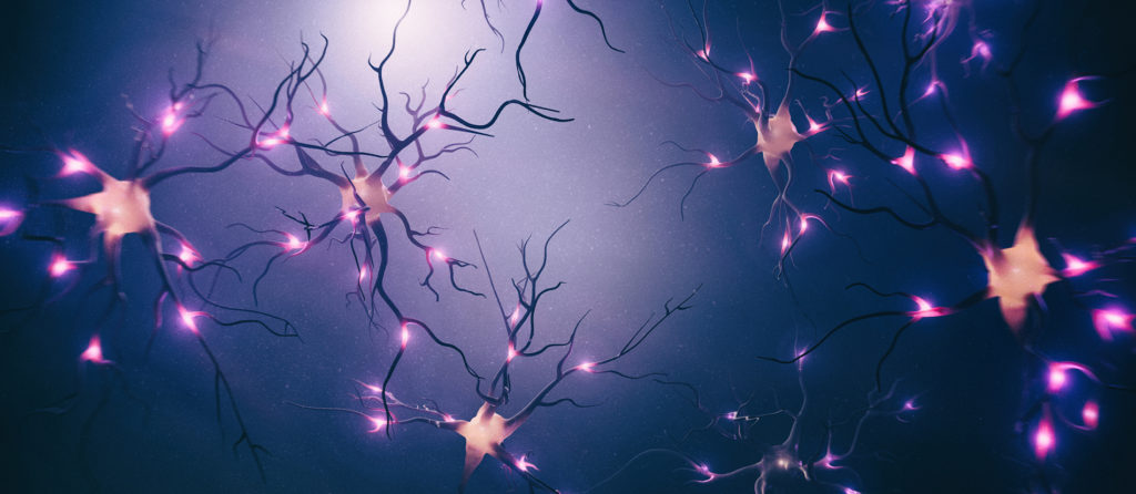 Can Neurotransmitters Be Damaged?