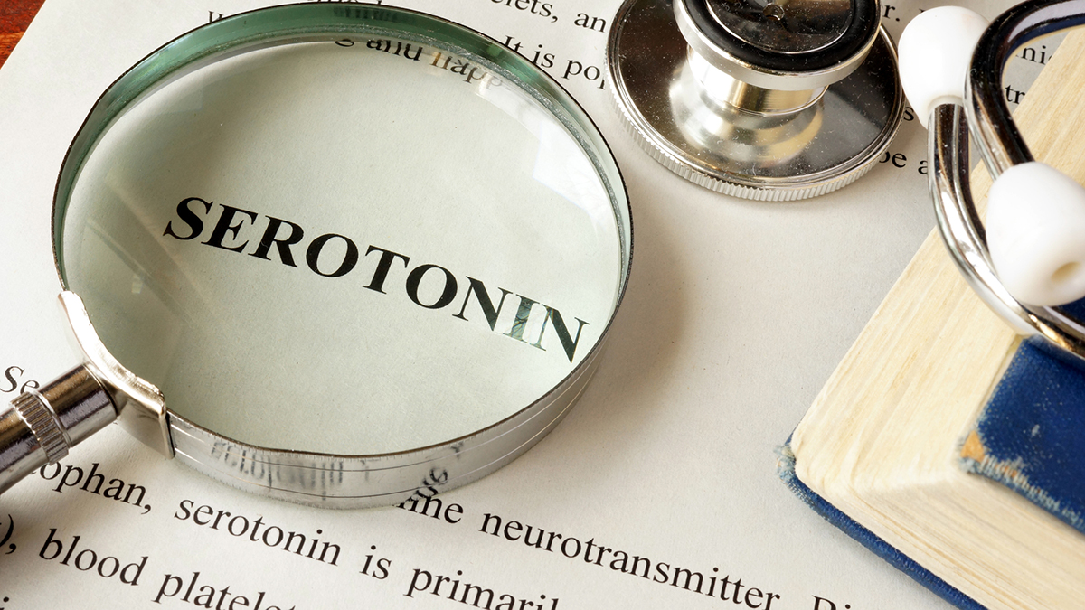 What Does Serotonin Do?