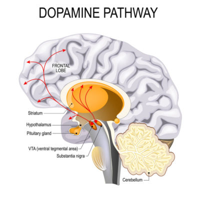 Dopamine