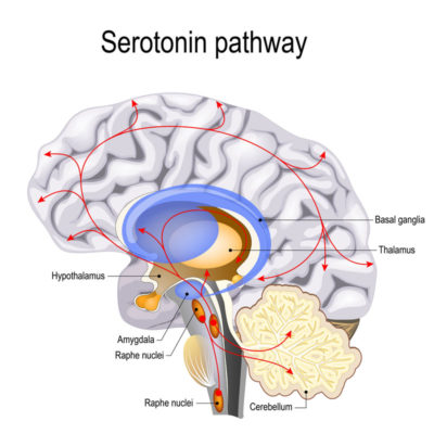 Serotonin