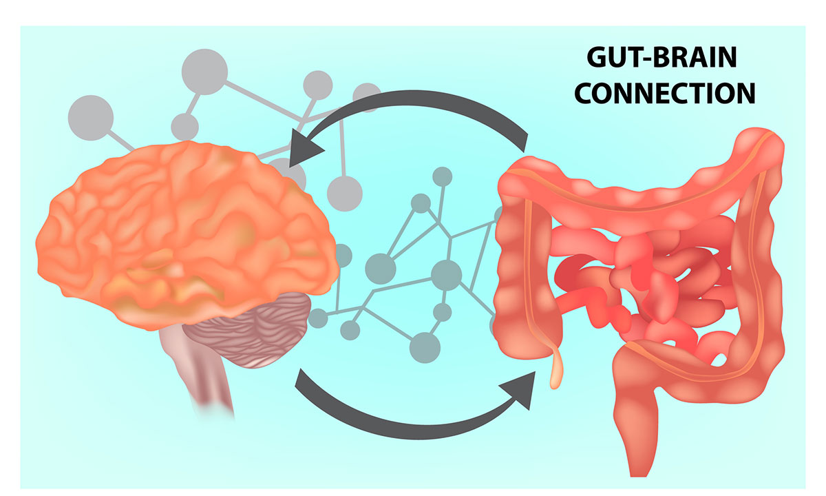  95% of the body’s serotonin is found in the gut