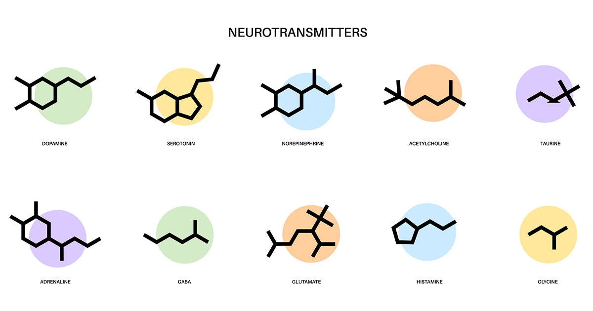 different types of neurotransmitters