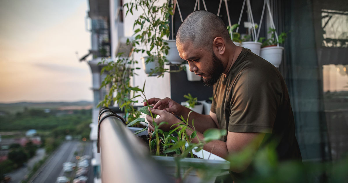 Taking Care of Plants for Mental Health 