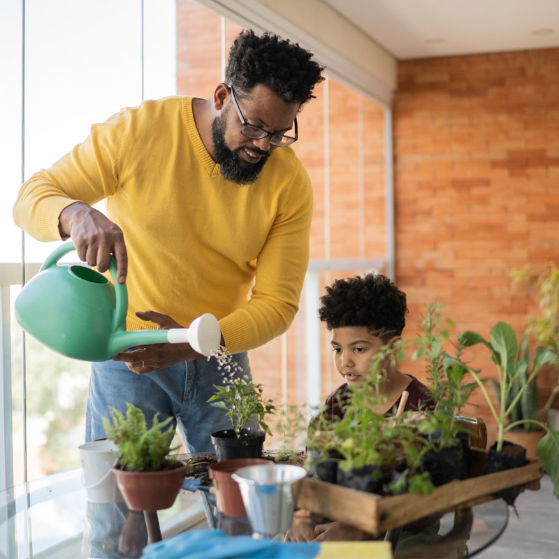 Can Plants Affect Your Mental Wellness?