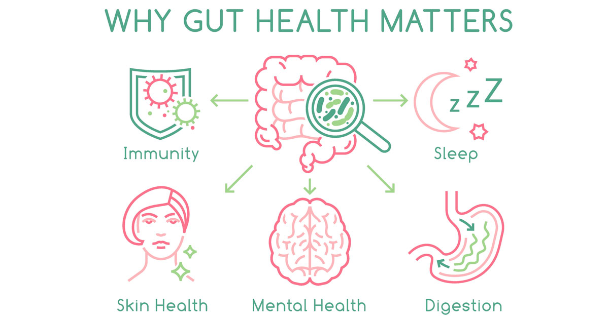 Gut Health