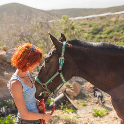 equine therapy Alternative to Meds Center