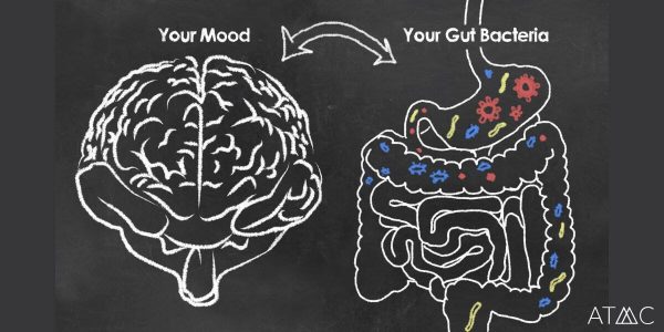 1200_microbiome-brain