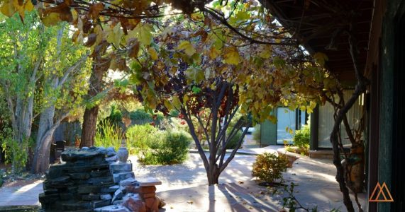 Happy Days: What A Day At Our Healing Center Looks Like