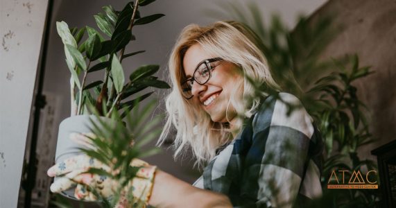 How Plants Enhance Your Mental Health