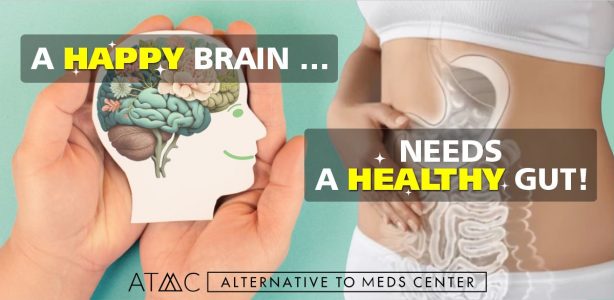 banner-happy-brain-healthy-gut